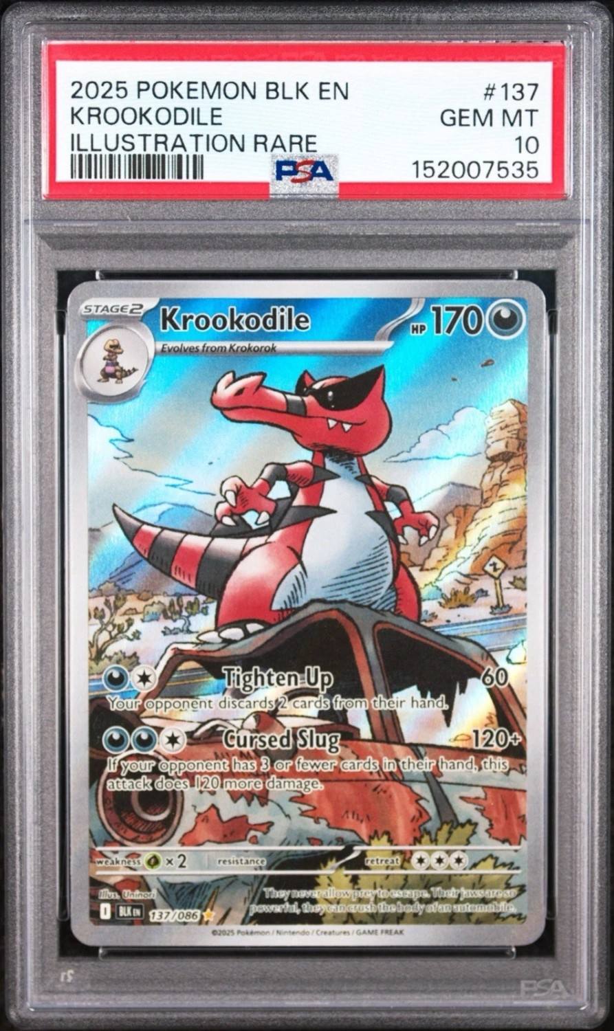 Krookodile