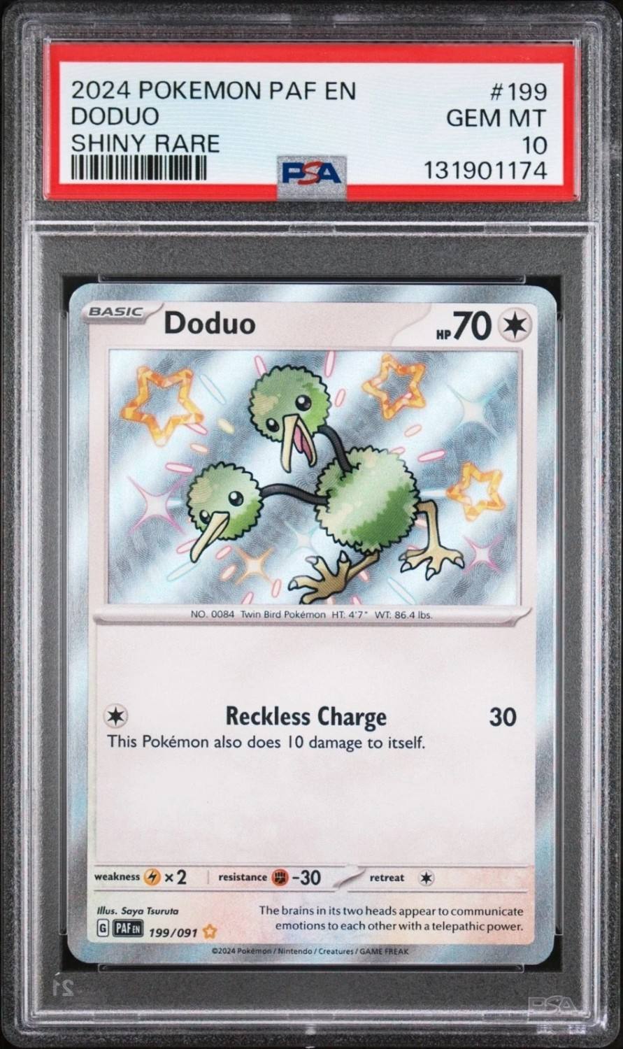 Doduo