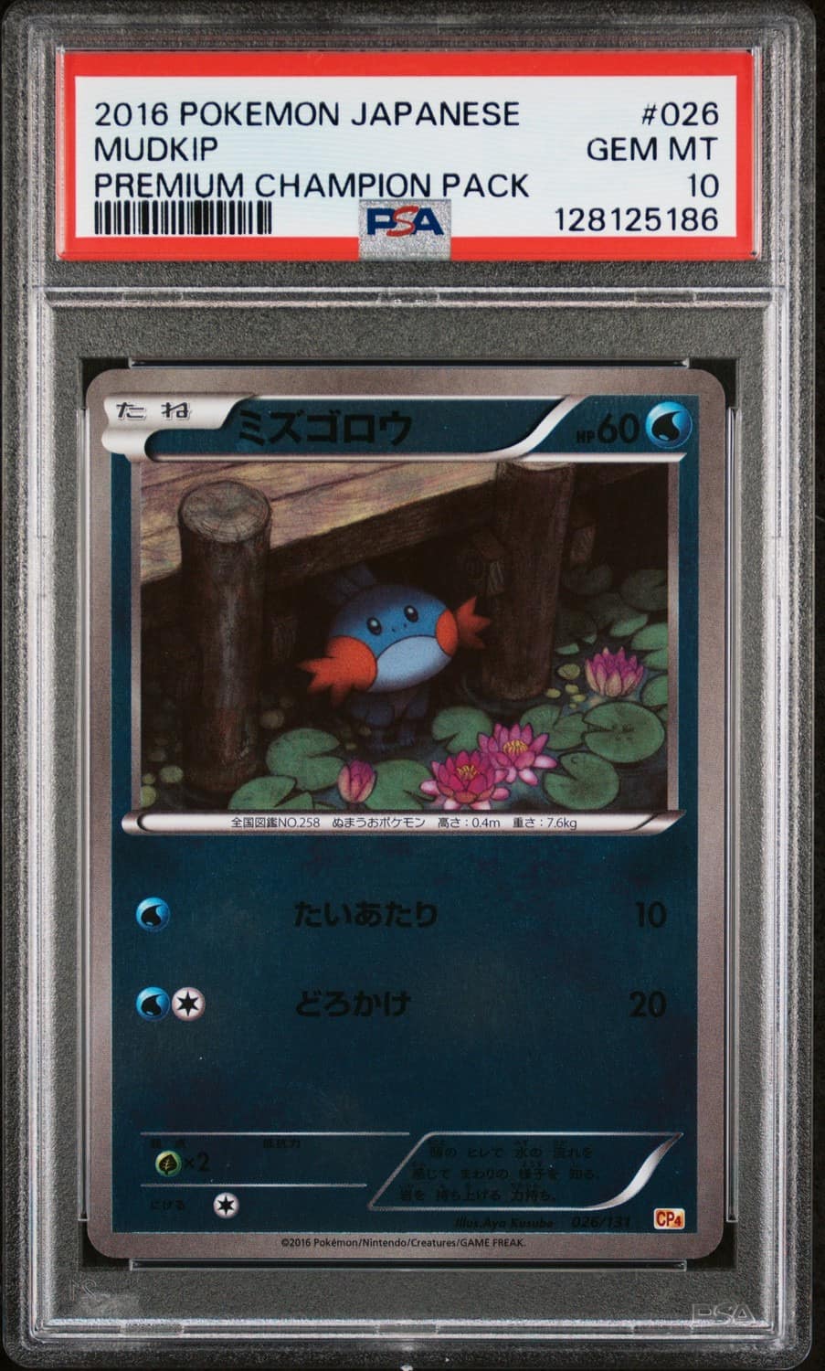 Mudkip