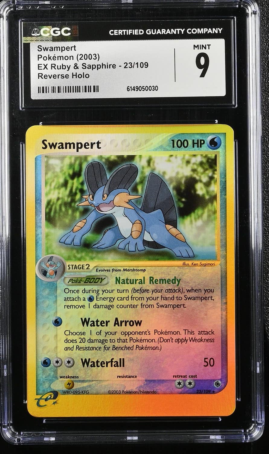 Swampert