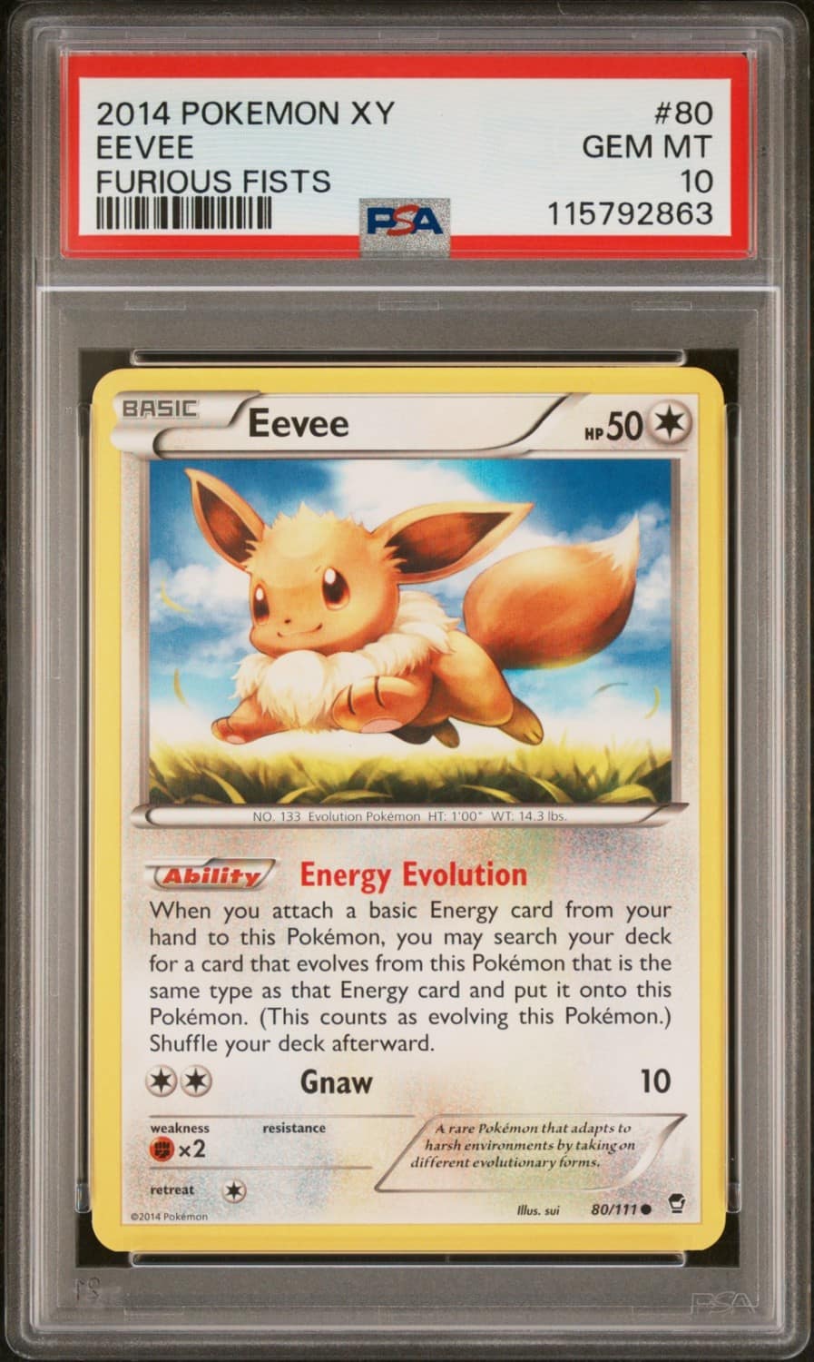 Eevee