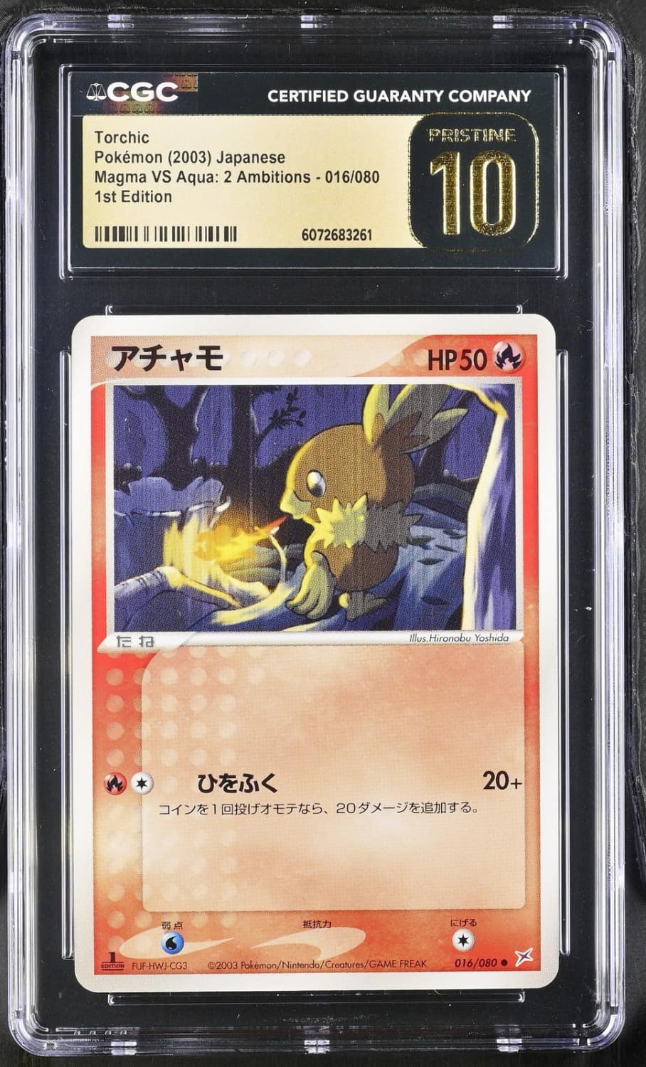 Torchic