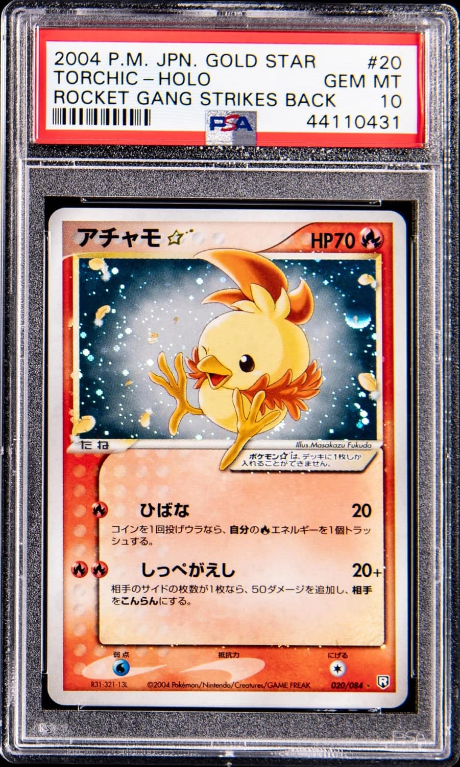 Torchic