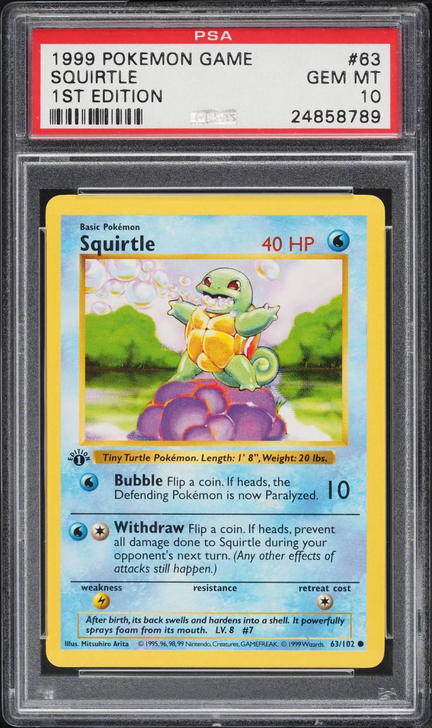 Squirtle
