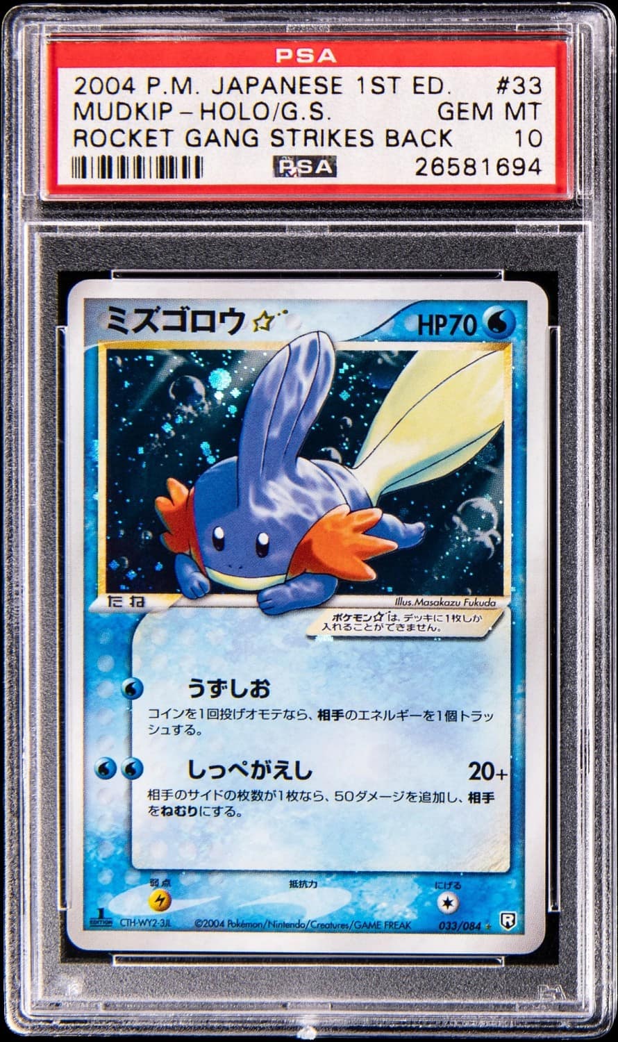 Mudkip