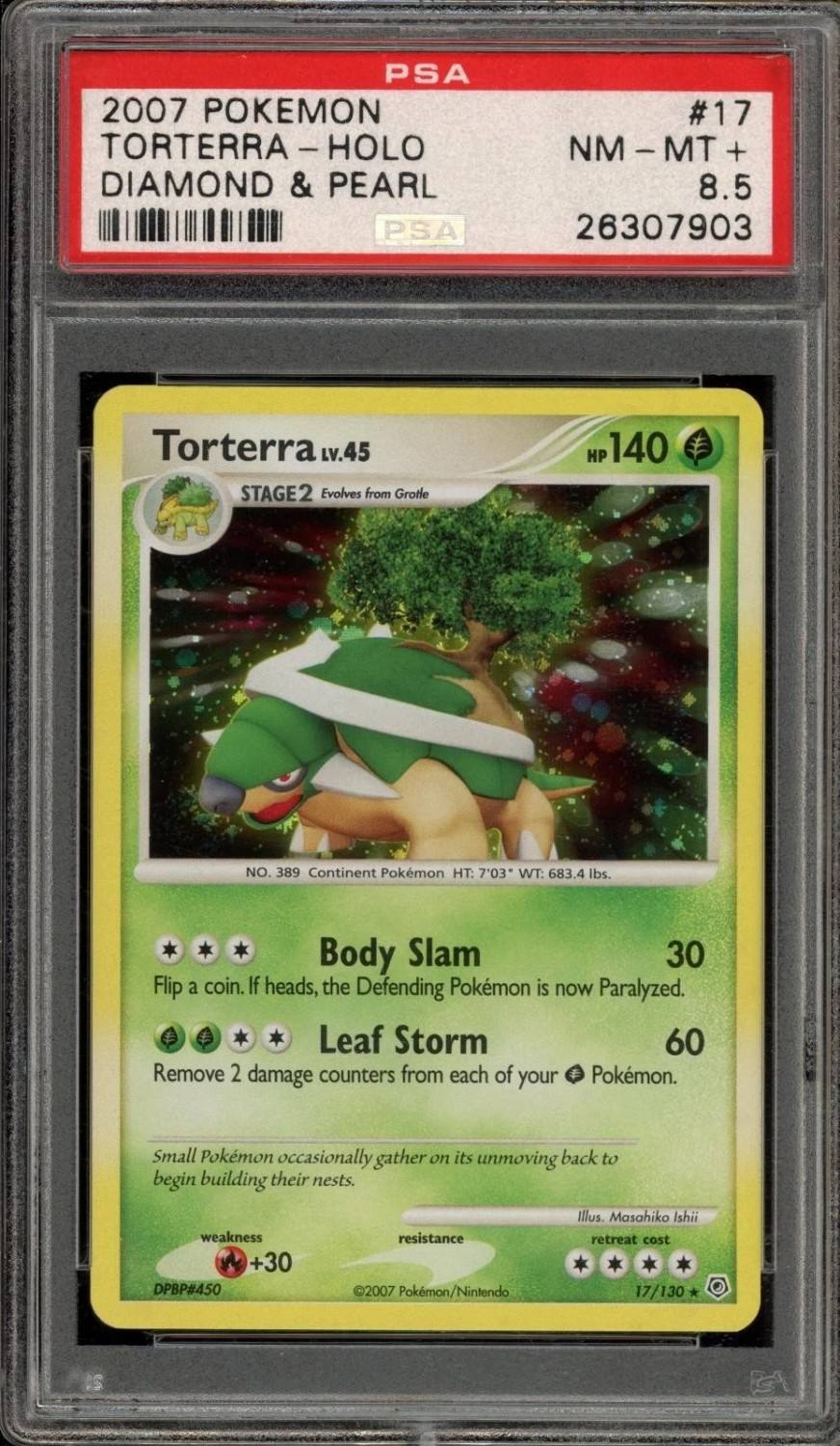 Torterra