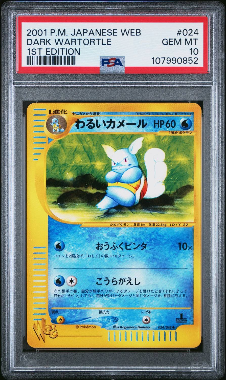 Dark Wartortle