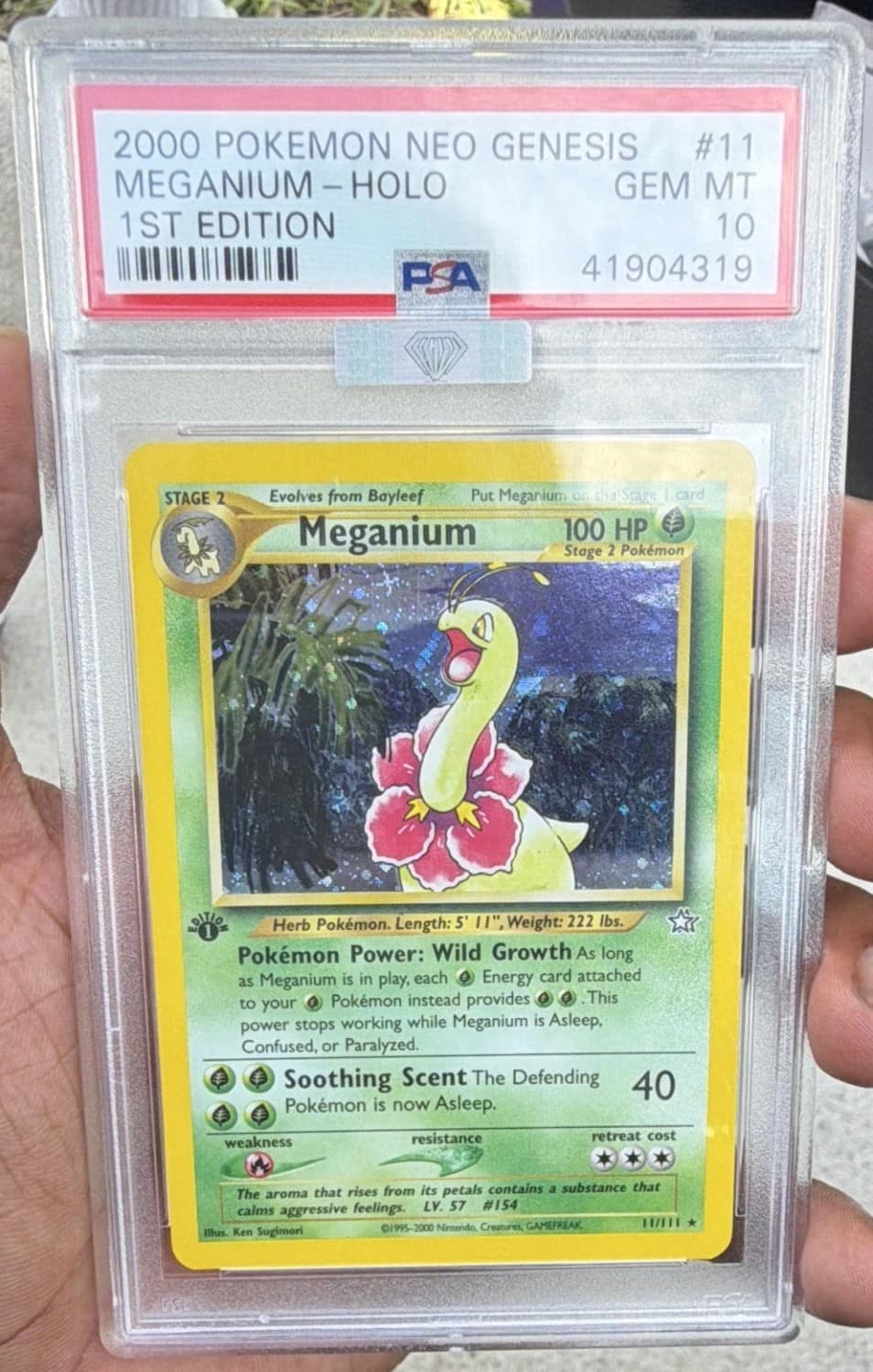 Meganium