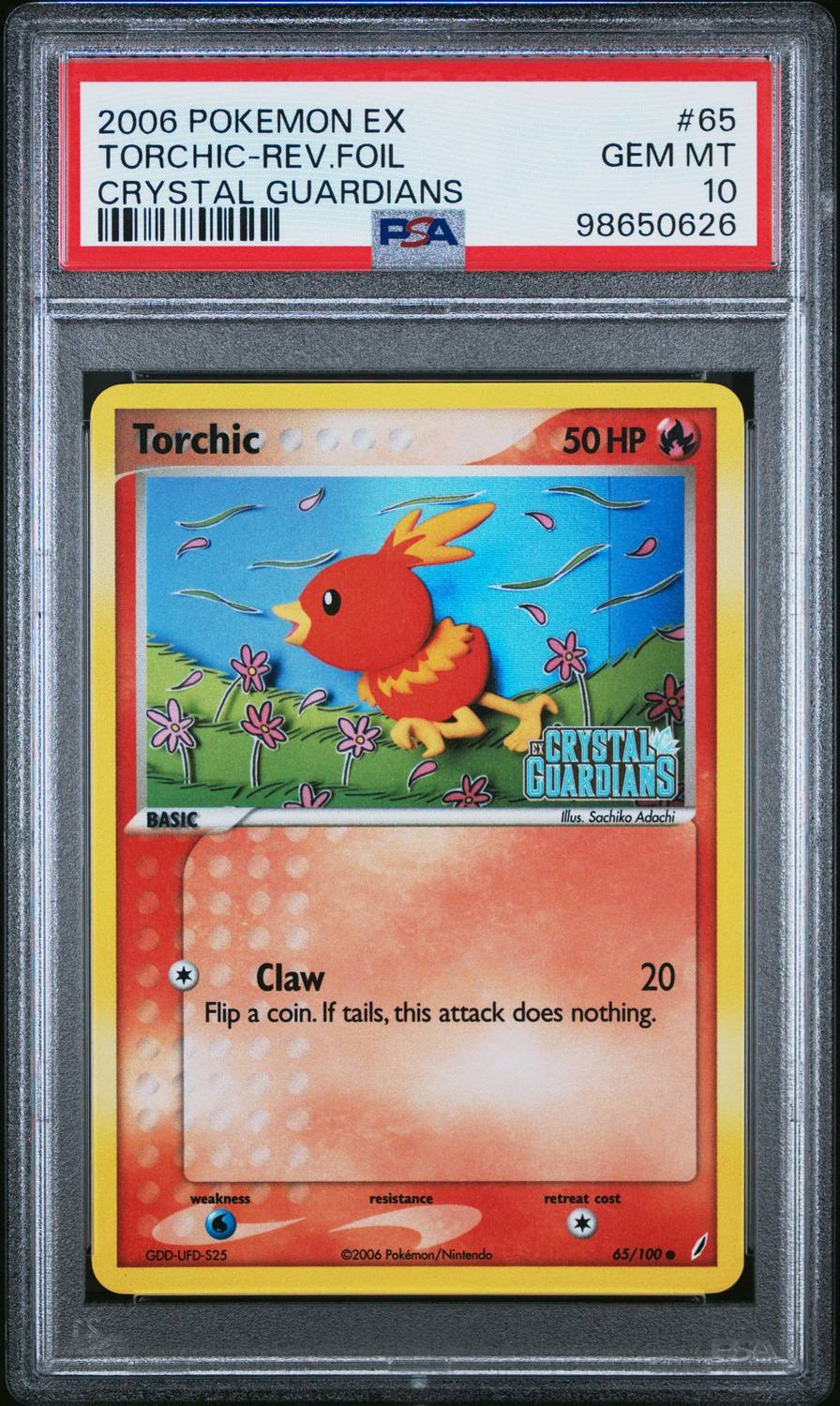 Torchic C