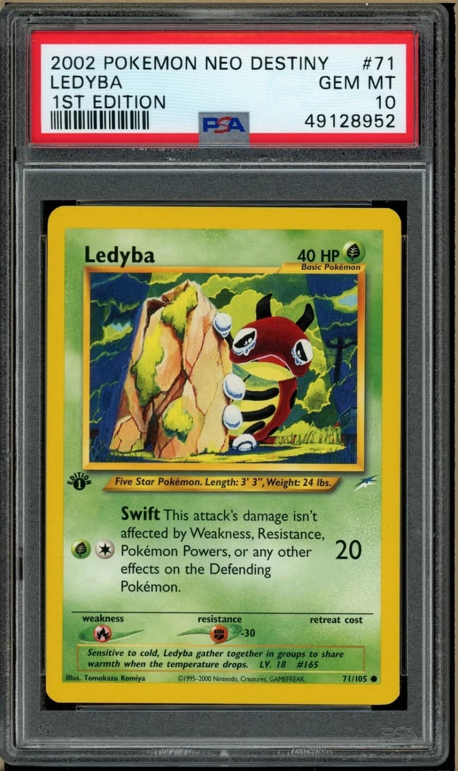 Ledyba