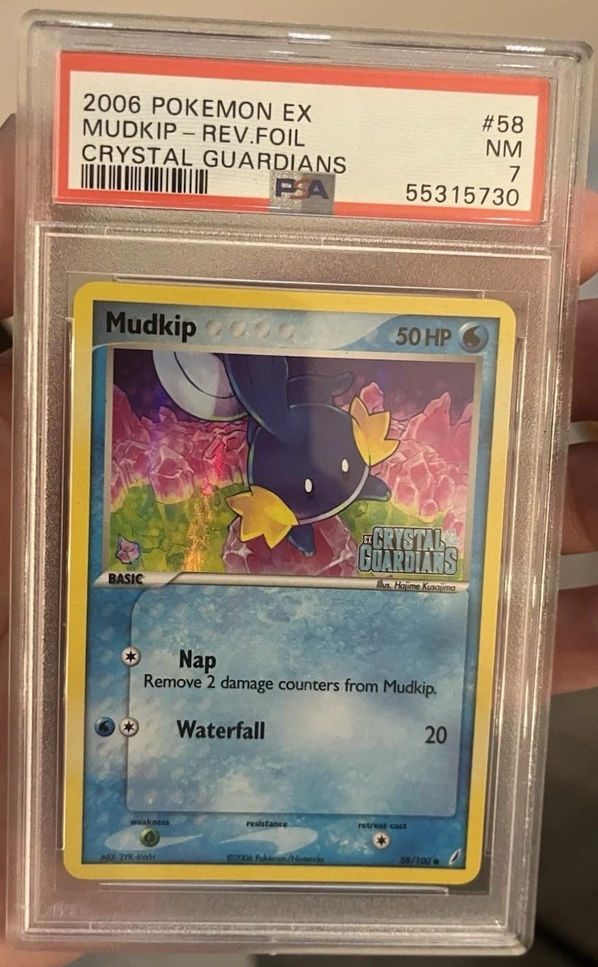 Mudkip