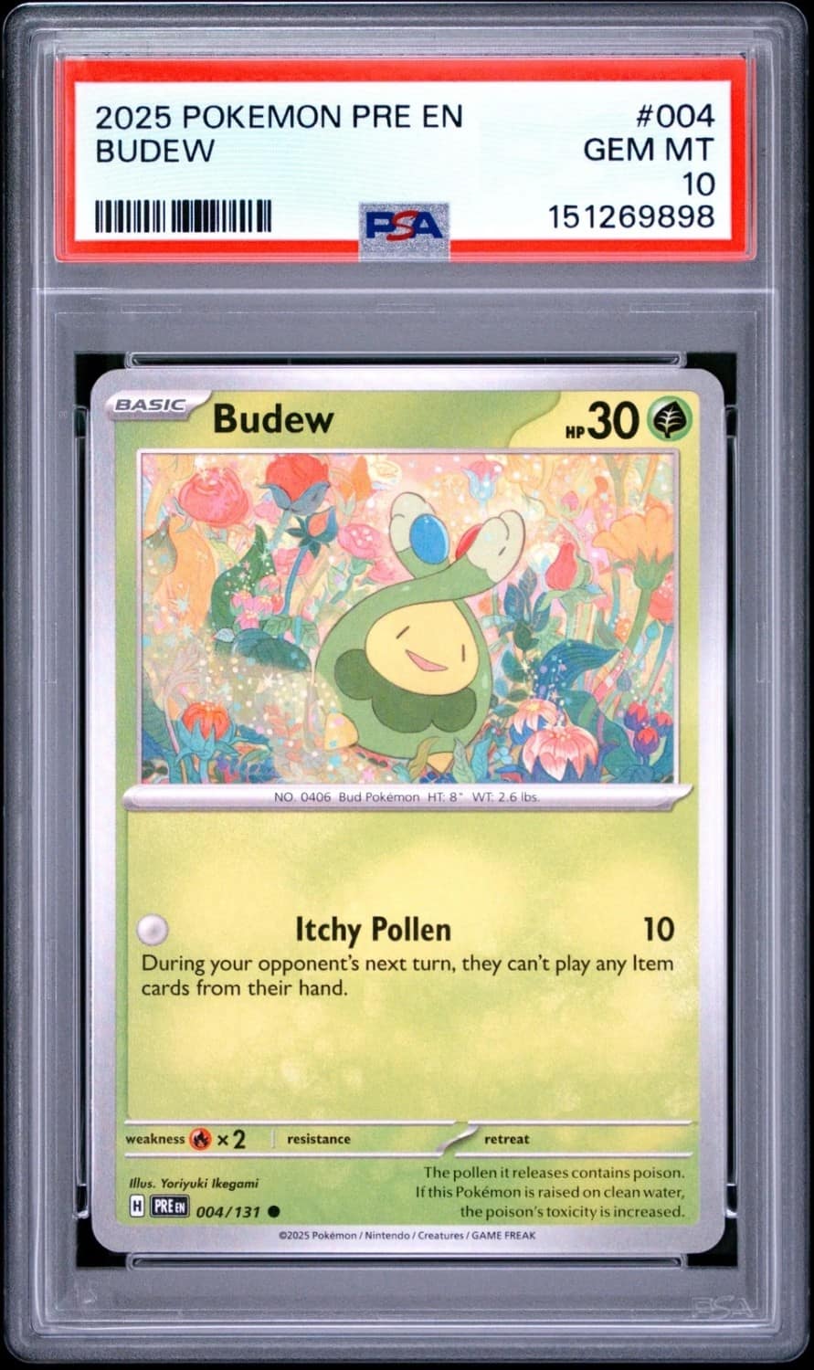 Budew