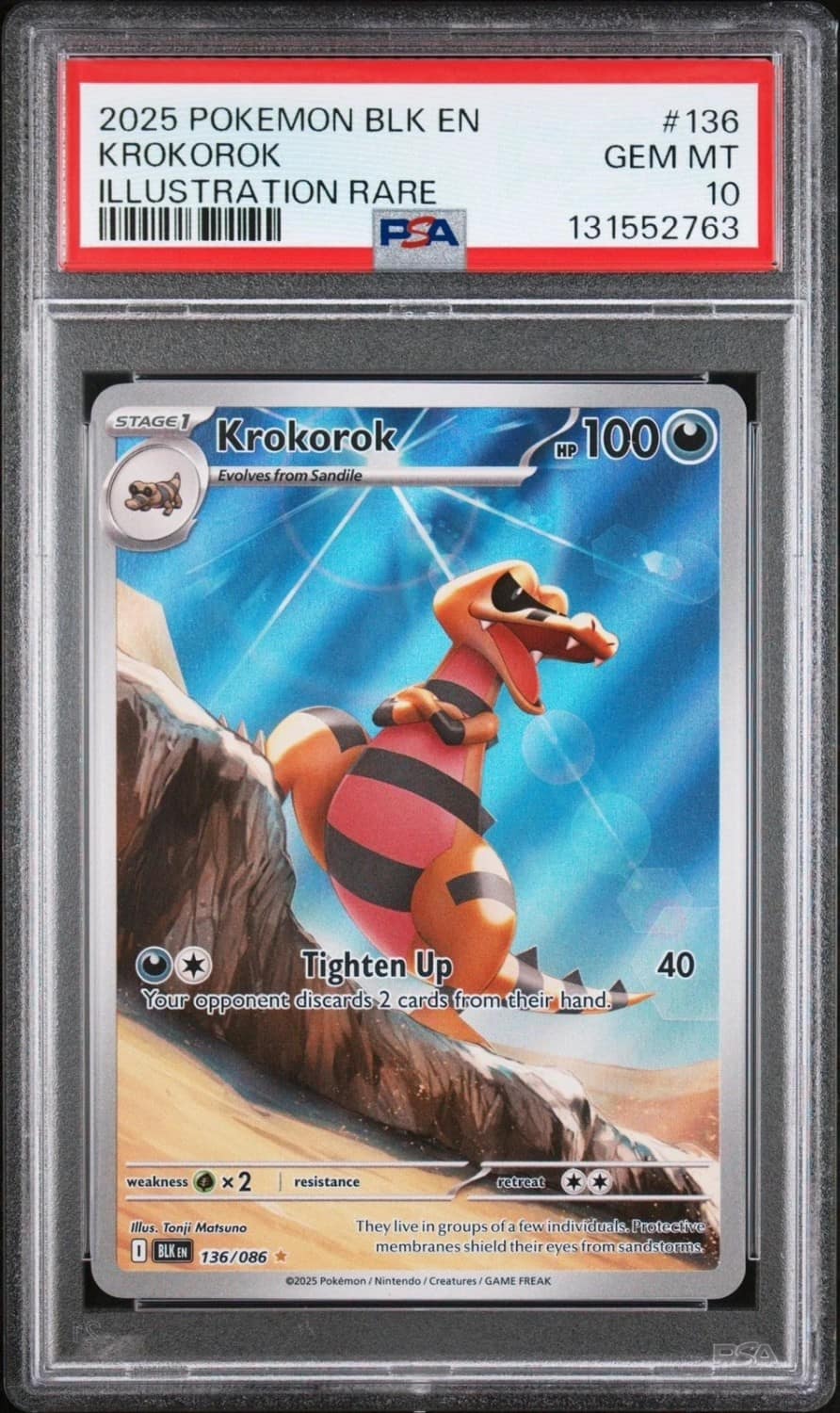 Krokorok