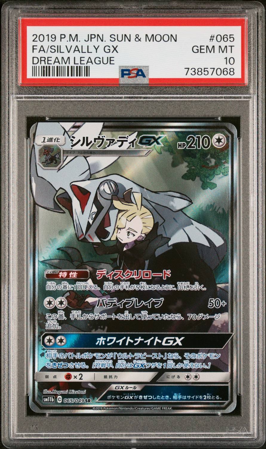 Fa/silvally Gx