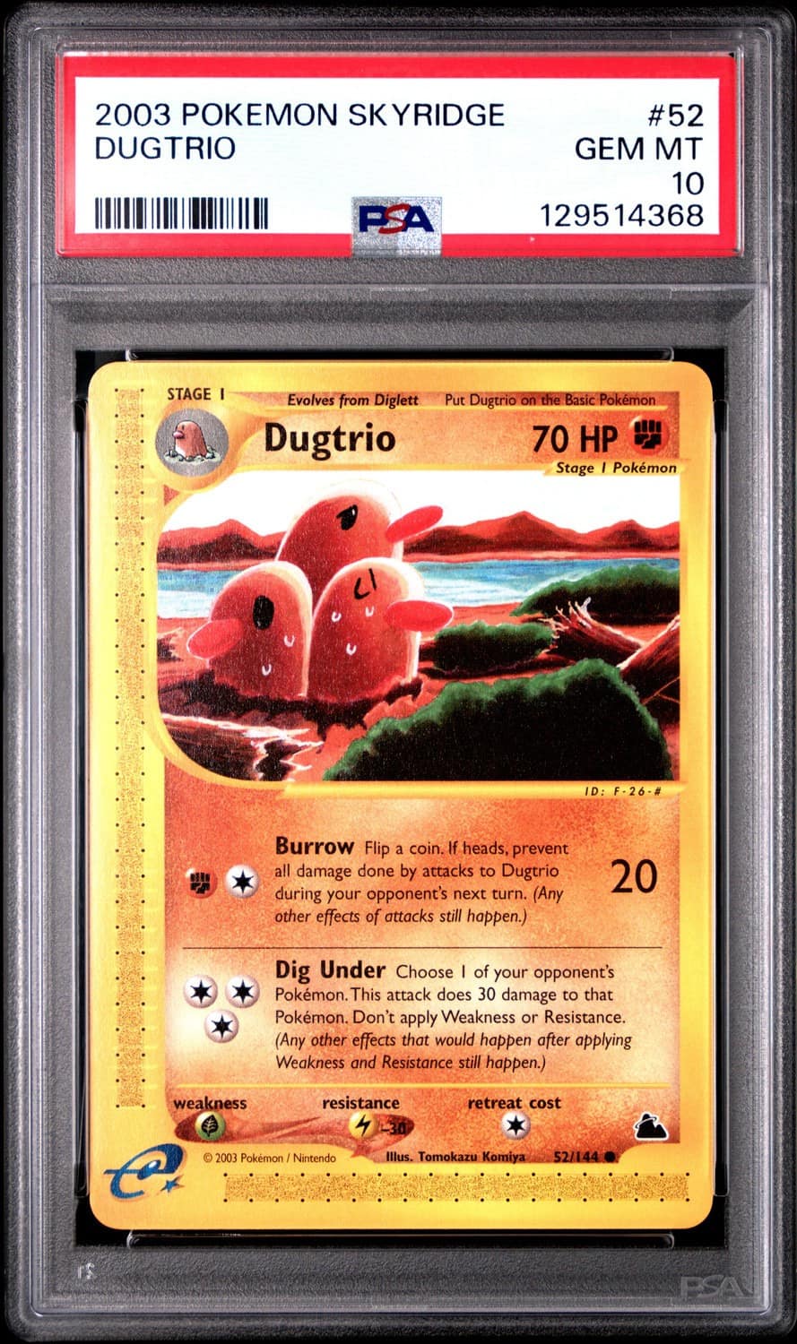 Dugtrio C