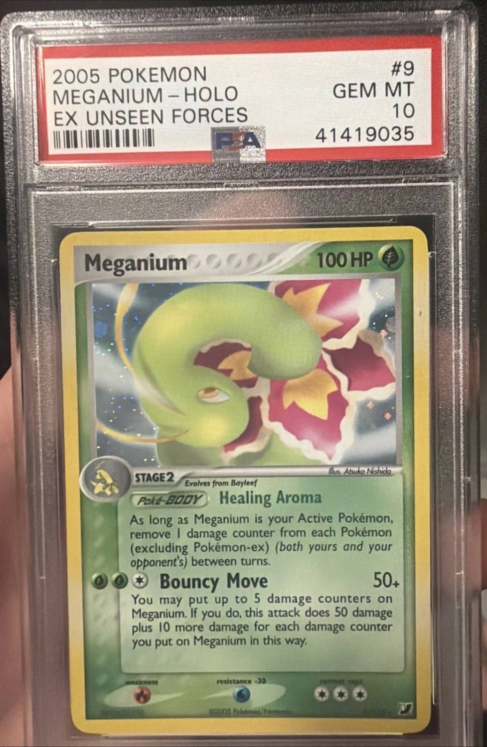 Meganium