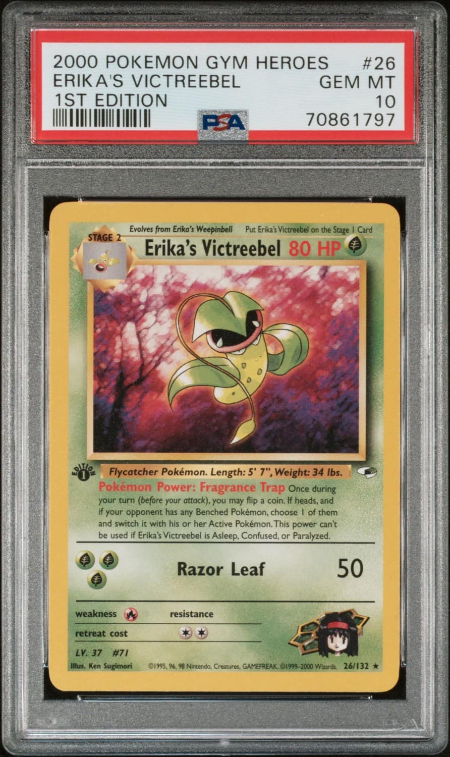 Erika'S Victreebel