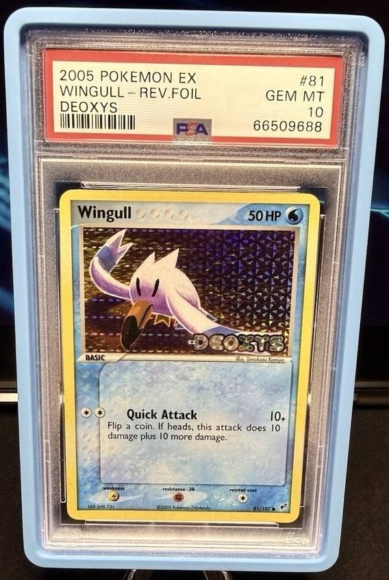 Wingull