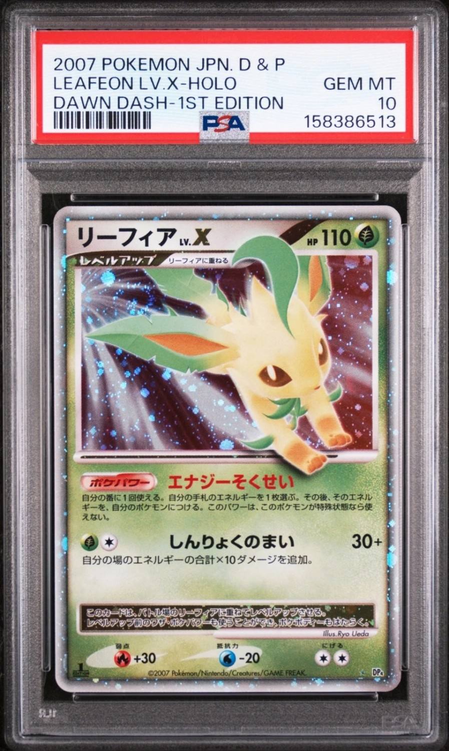 Leafeon Lv X