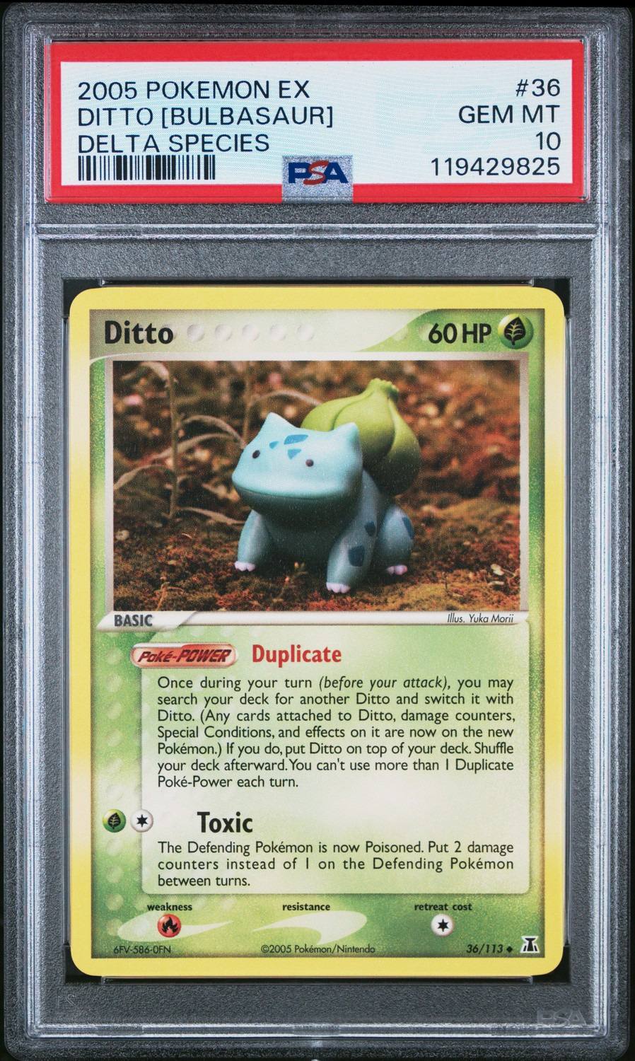 Ditto [bulbasaur]