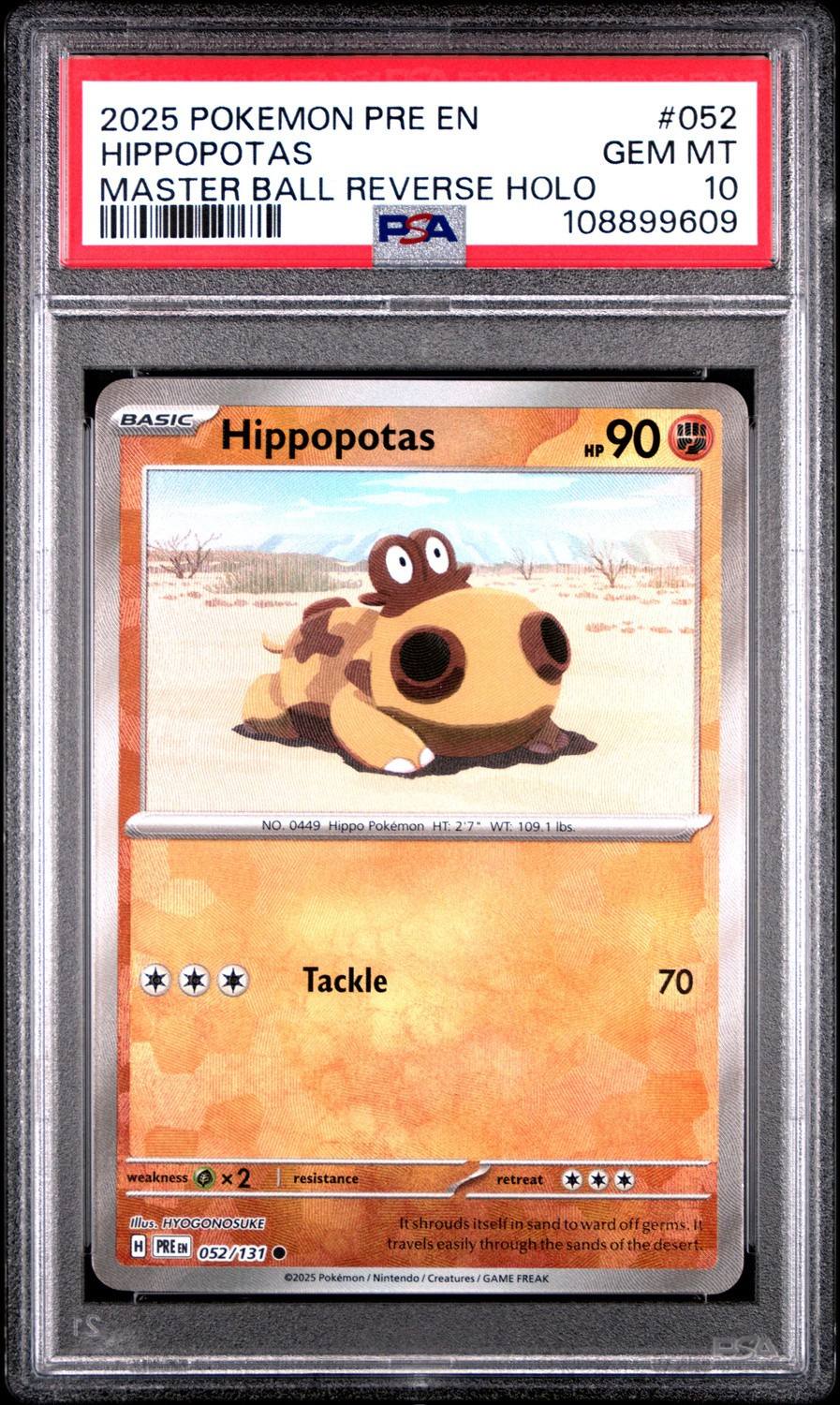 Hippopotas
