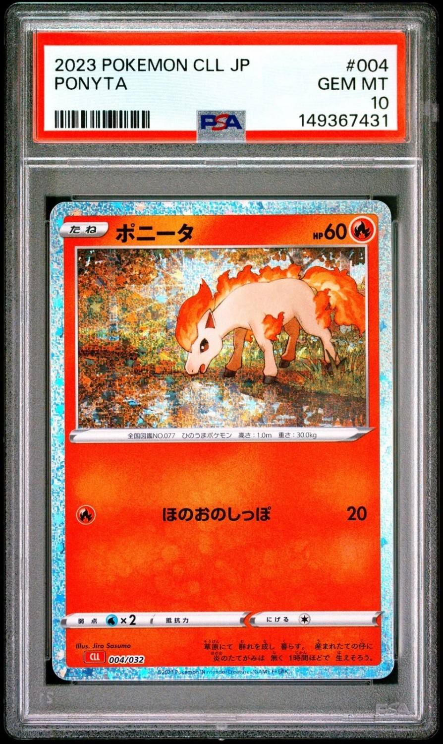Ponyta