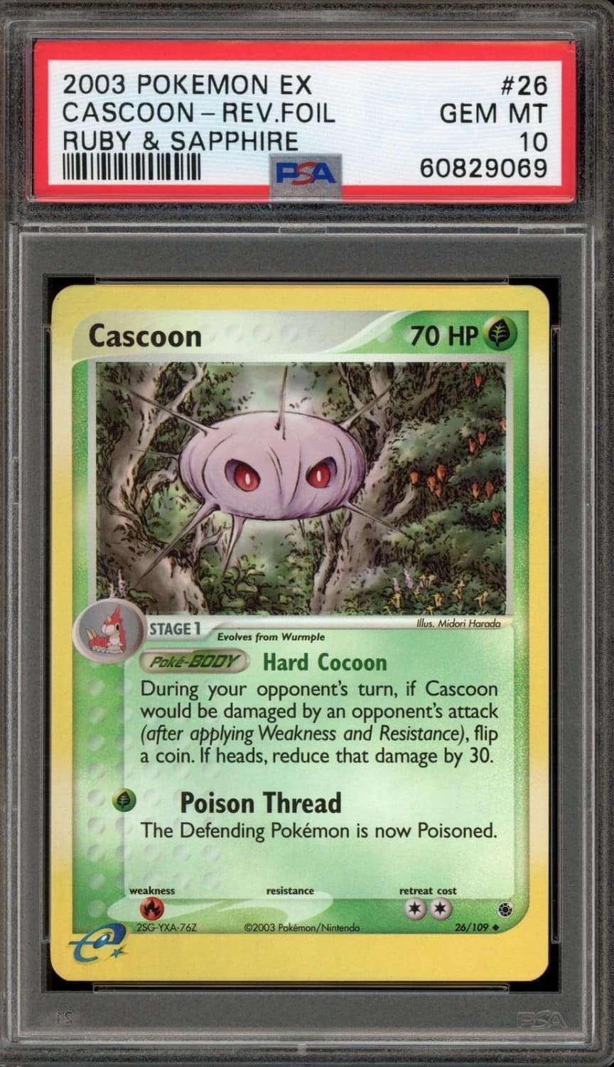 Cascoon