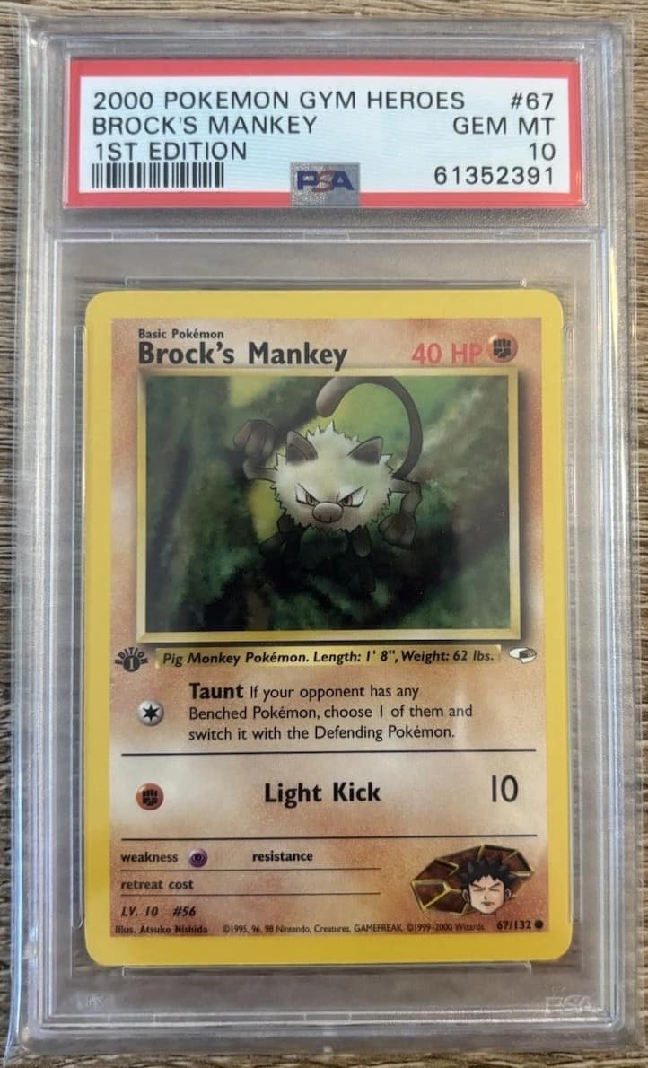 Brock'S Mankey