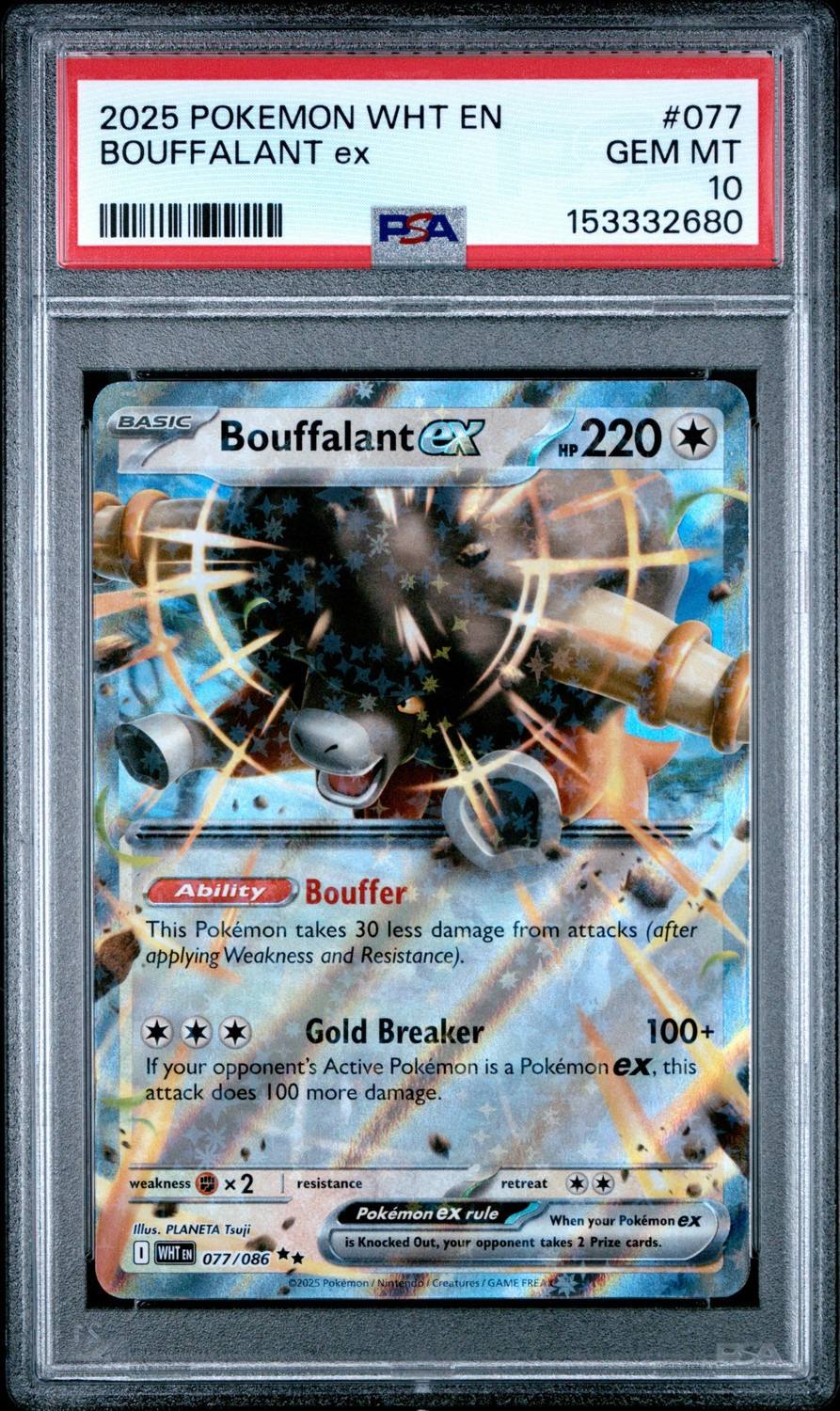 Bouffalant Ex