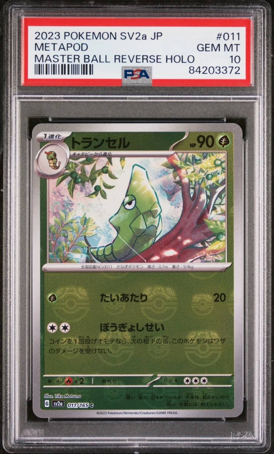 Metapod