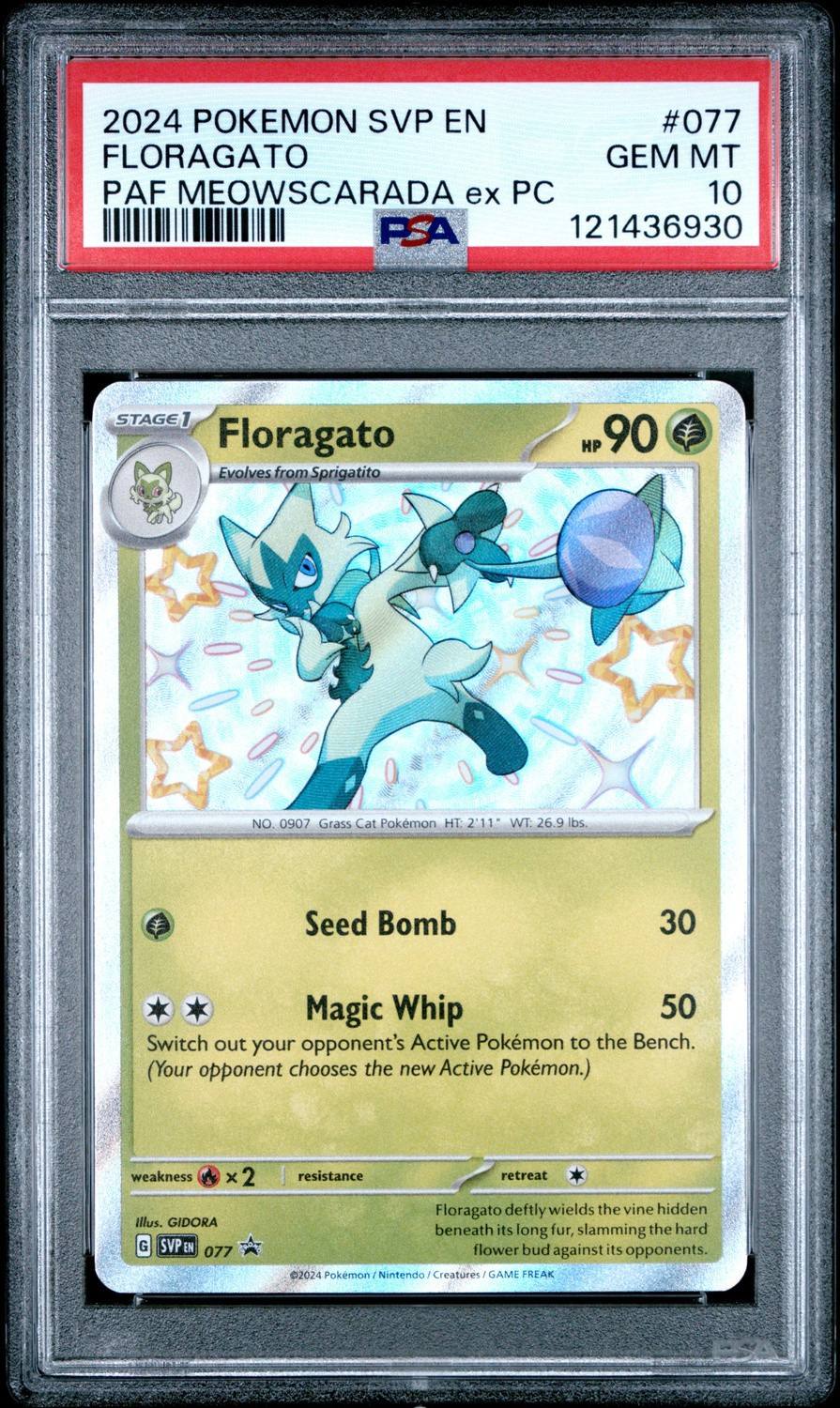 Floragato