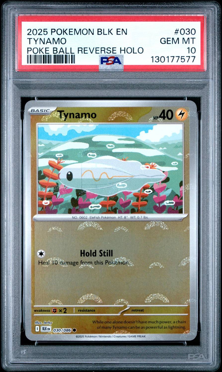Tynamo