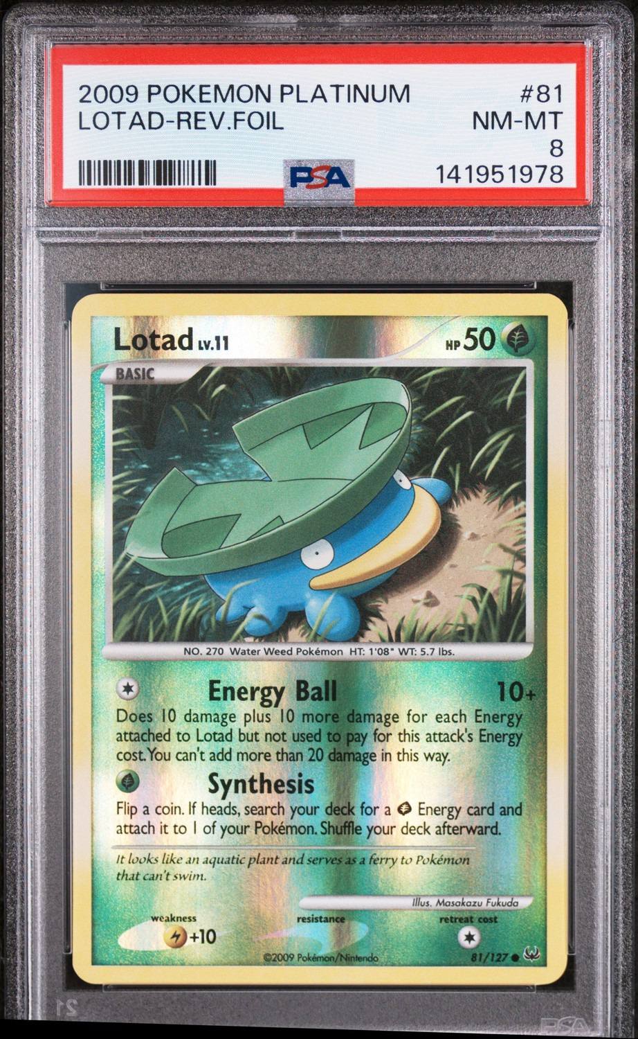 Lotad
