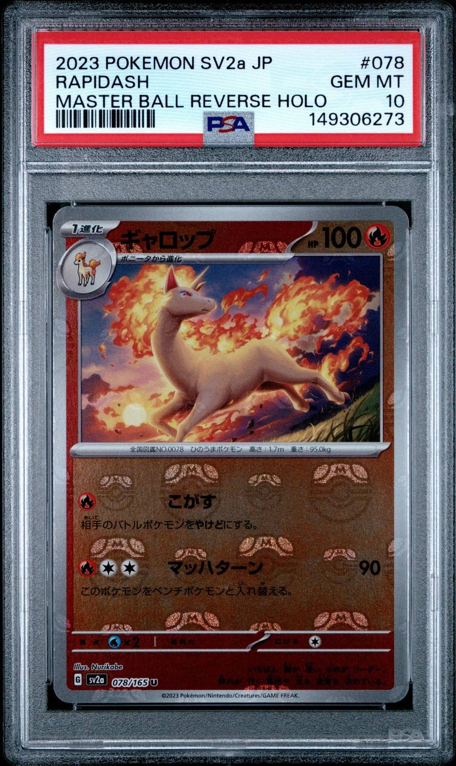 Rapidash