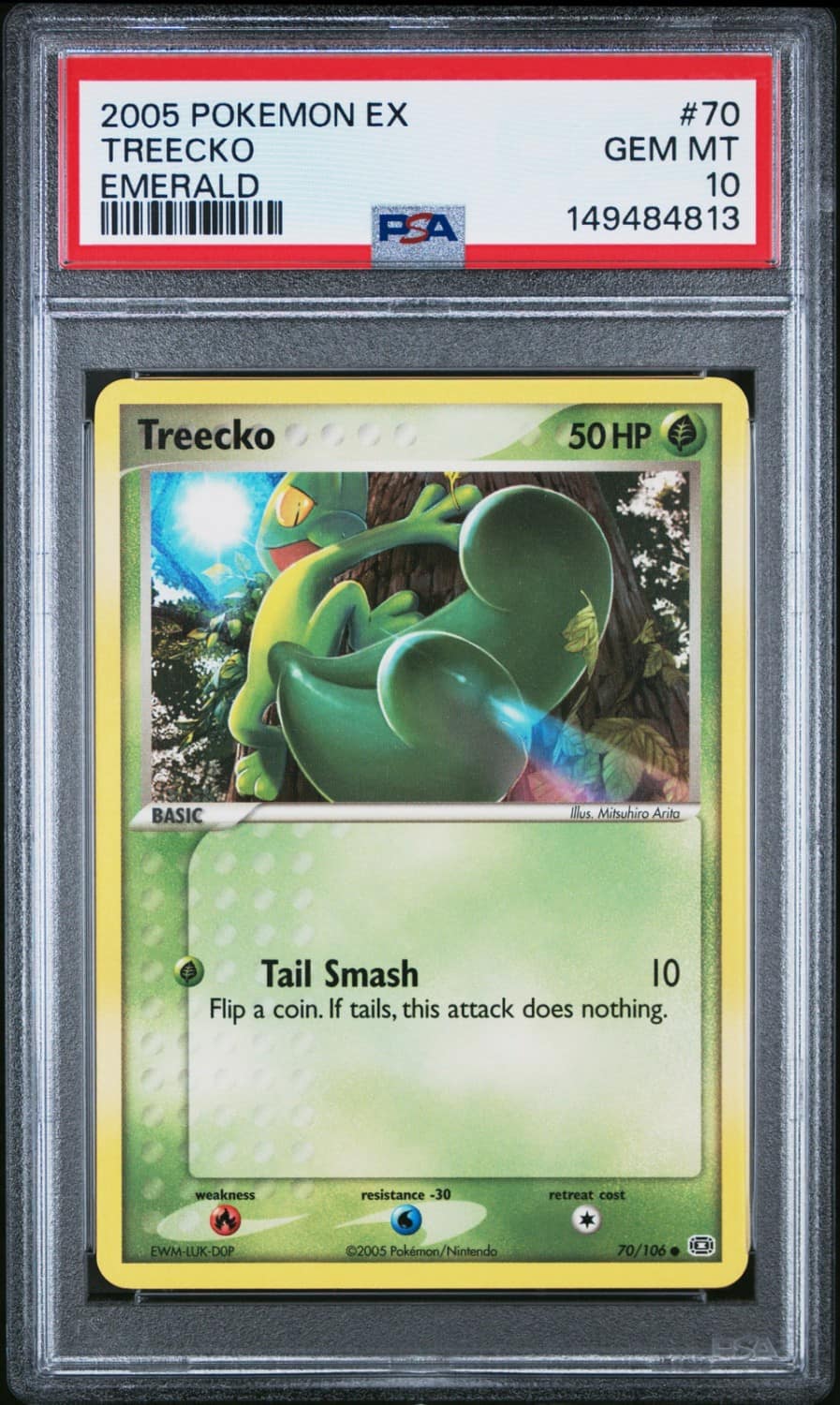 Treecko
