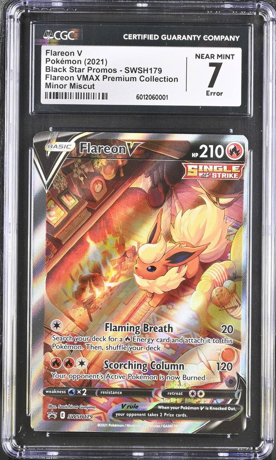 Fa/flareon V