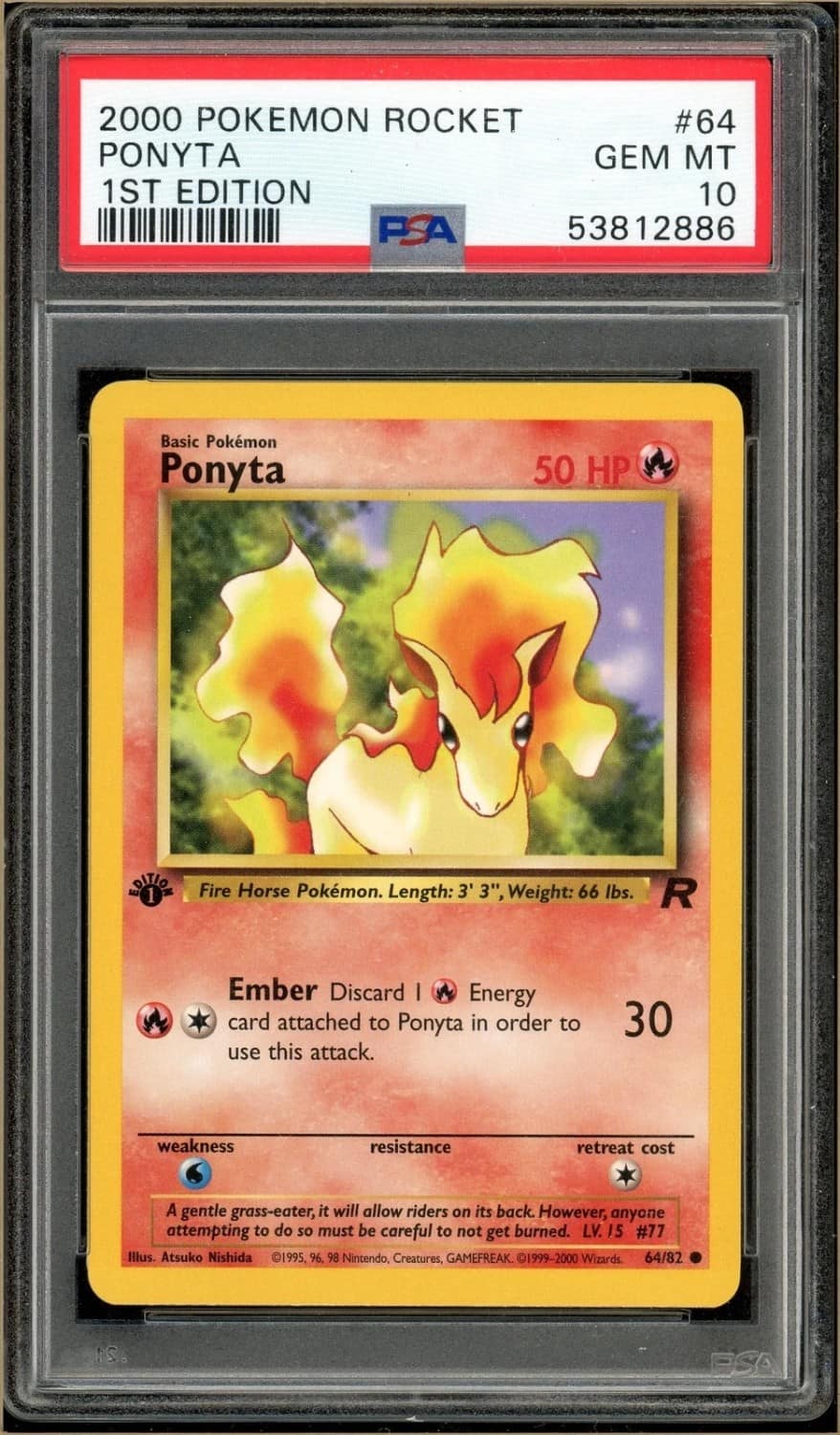 Ponyta