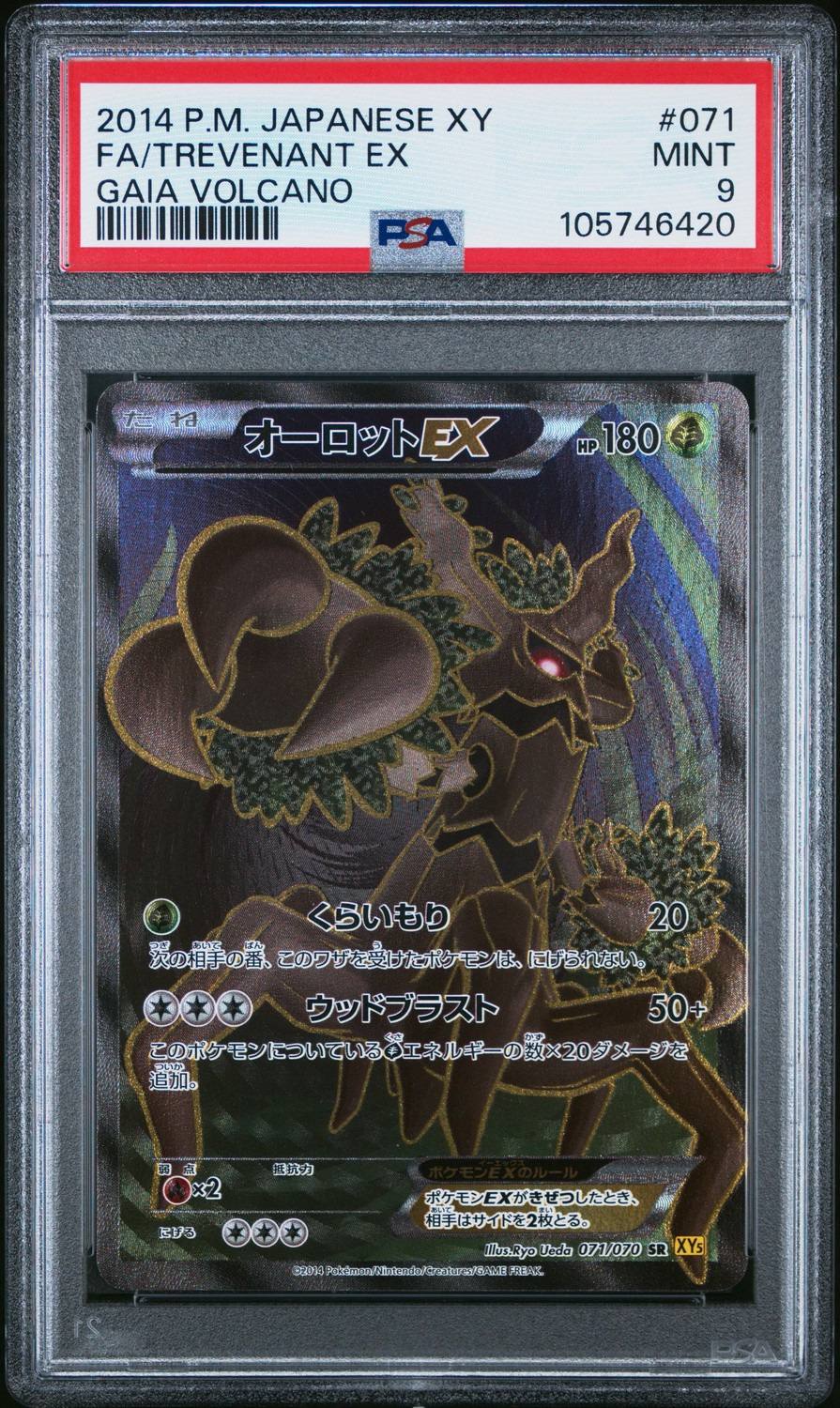 Fa/trevenant Ex