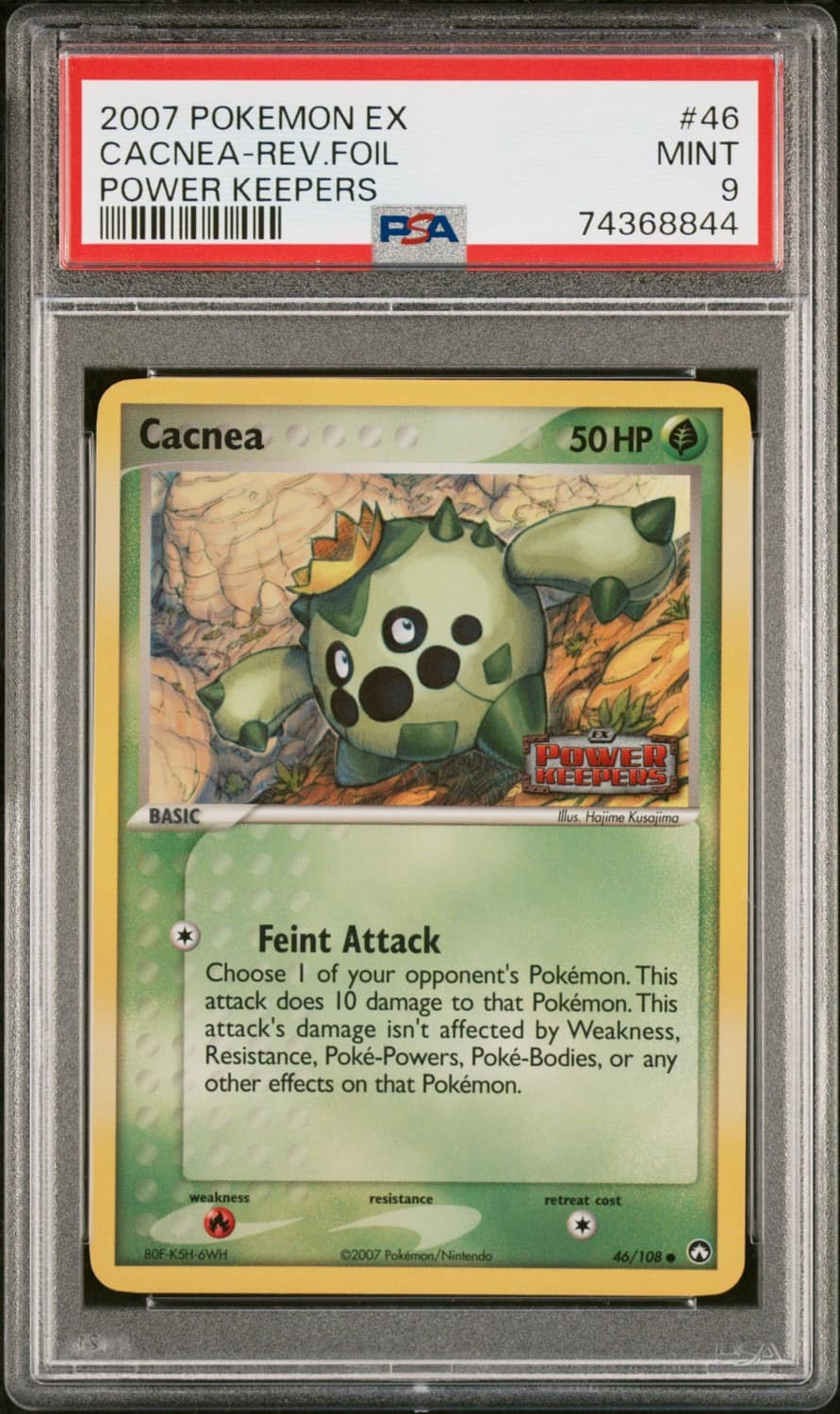 Cacnea