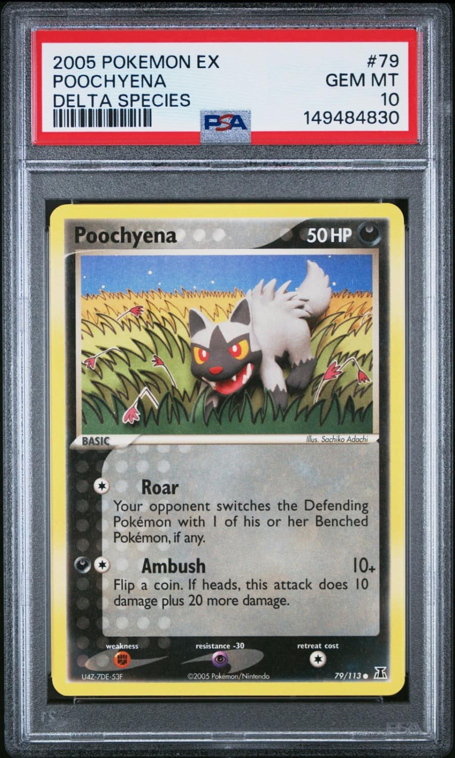 Poochyena