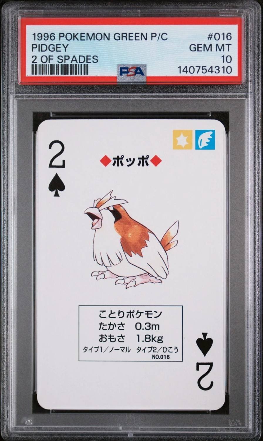 Pidgey