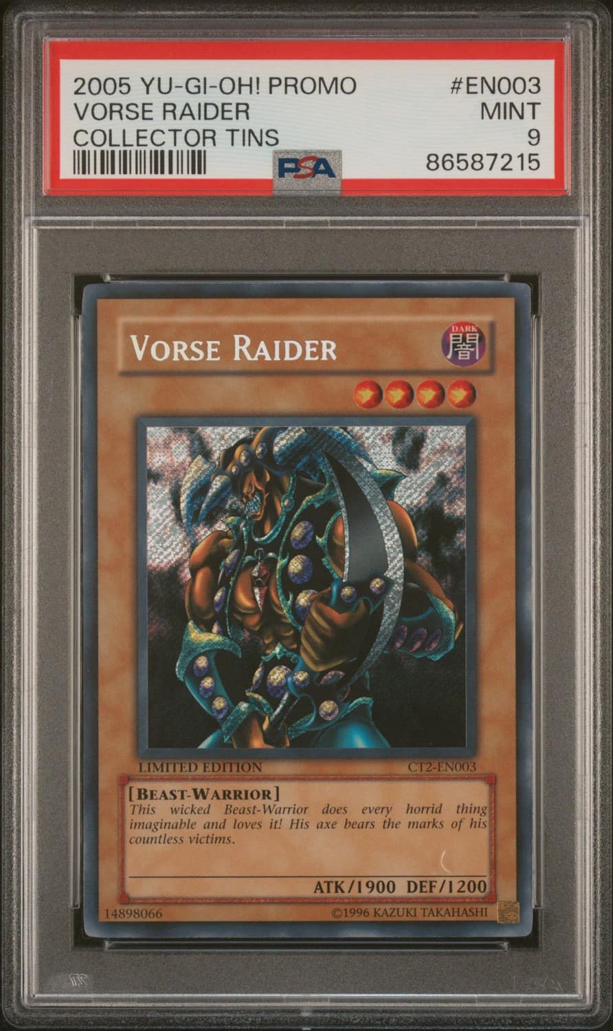 Vorse Raider