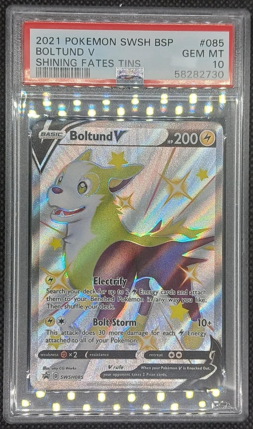 Boltund V