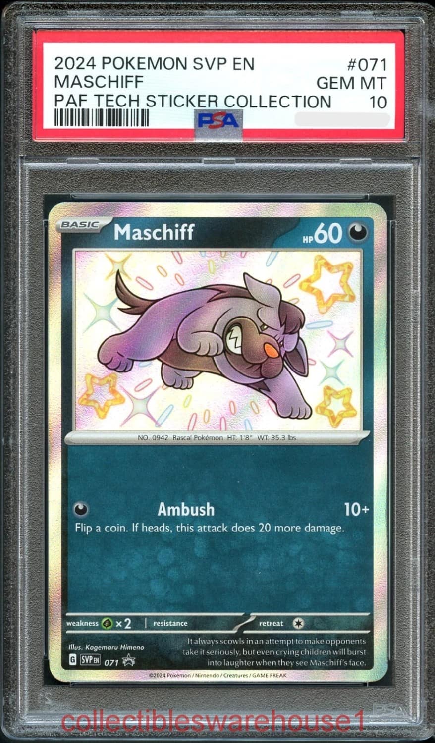 Maschiff