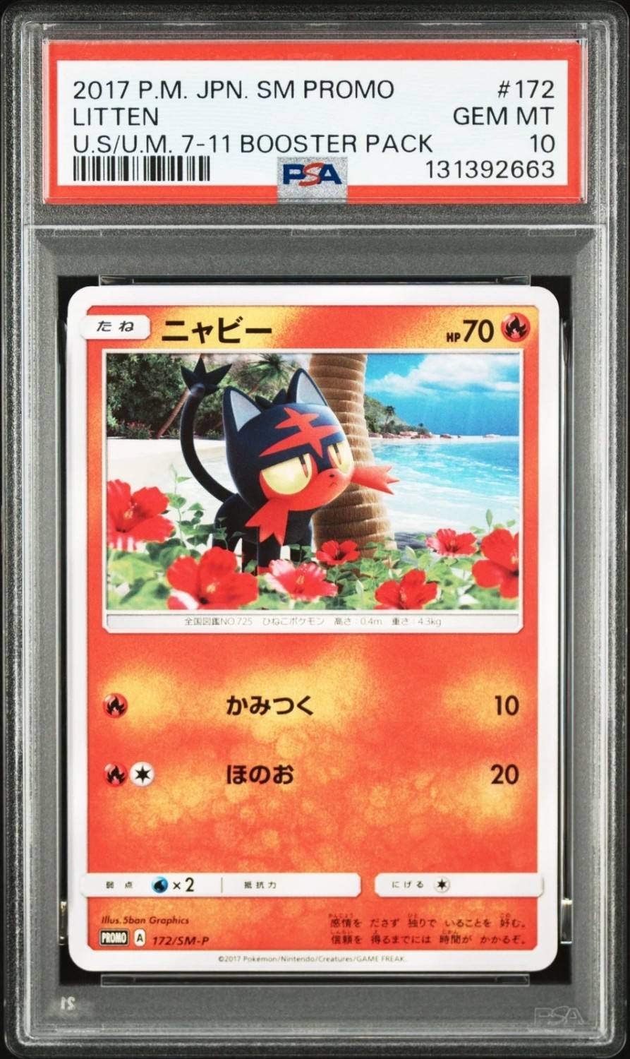 Litten