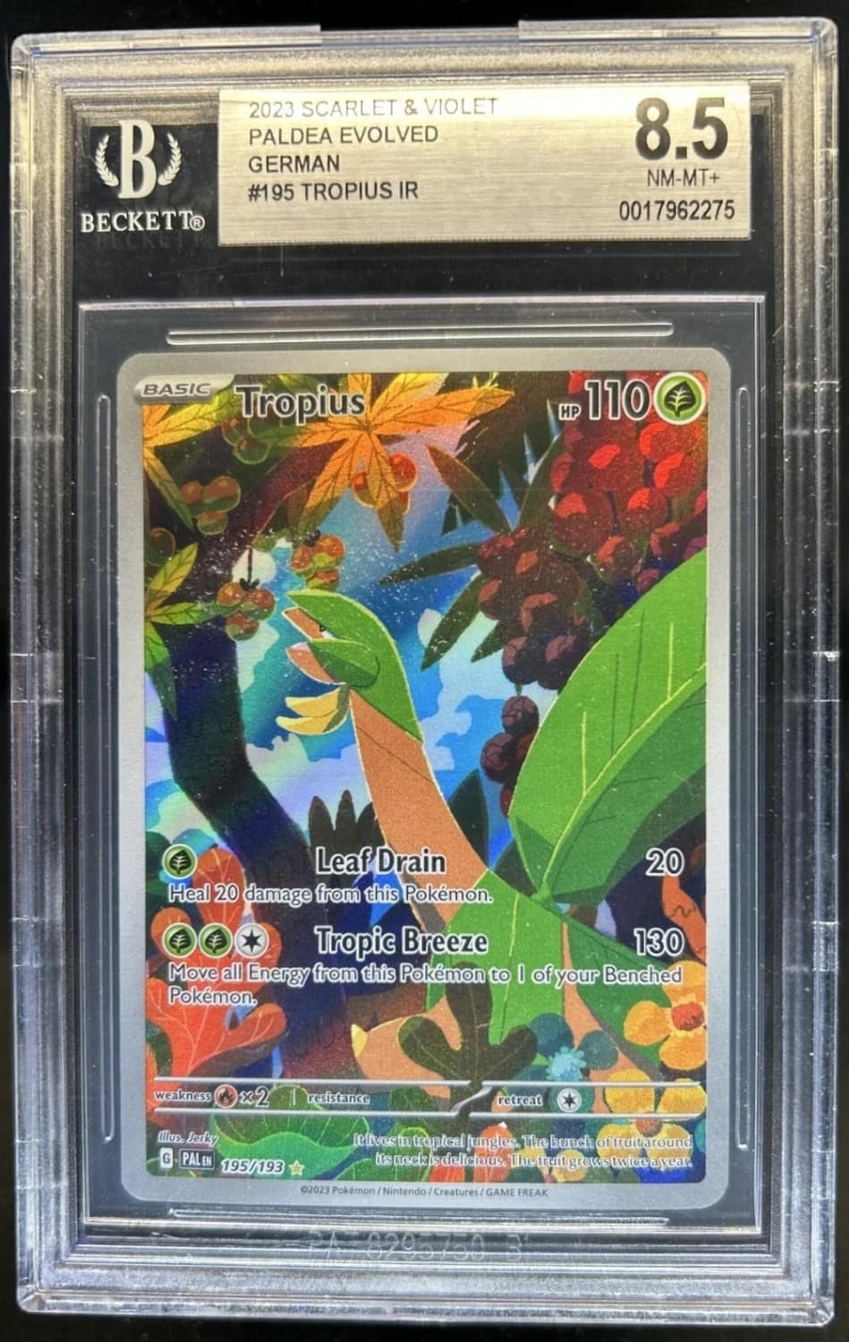 Tropius Ir