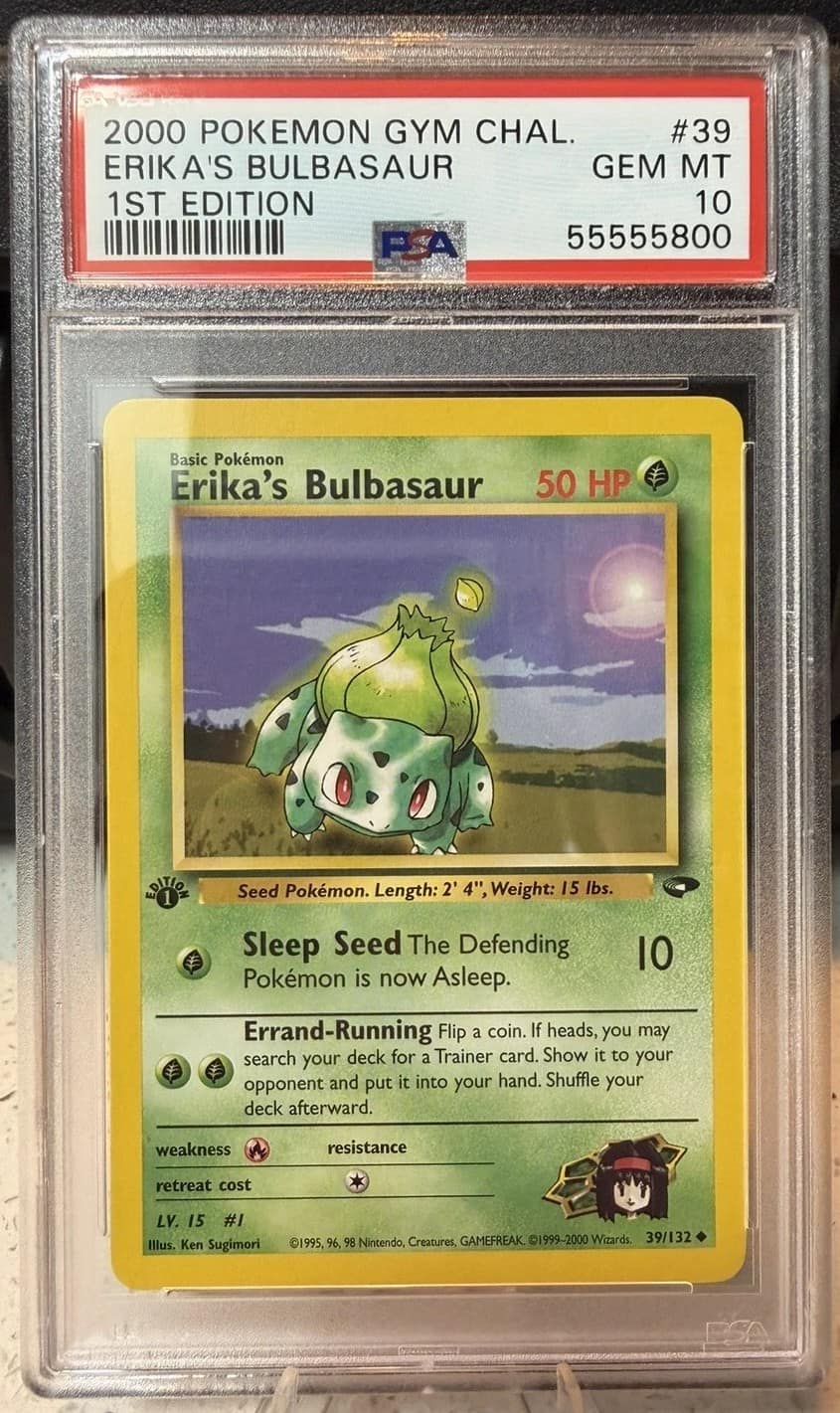 Erika'S Bulbasaur