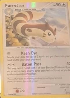 Furret
