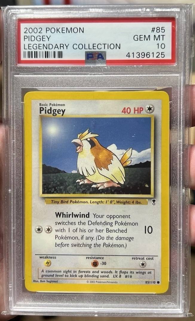 Pidgey