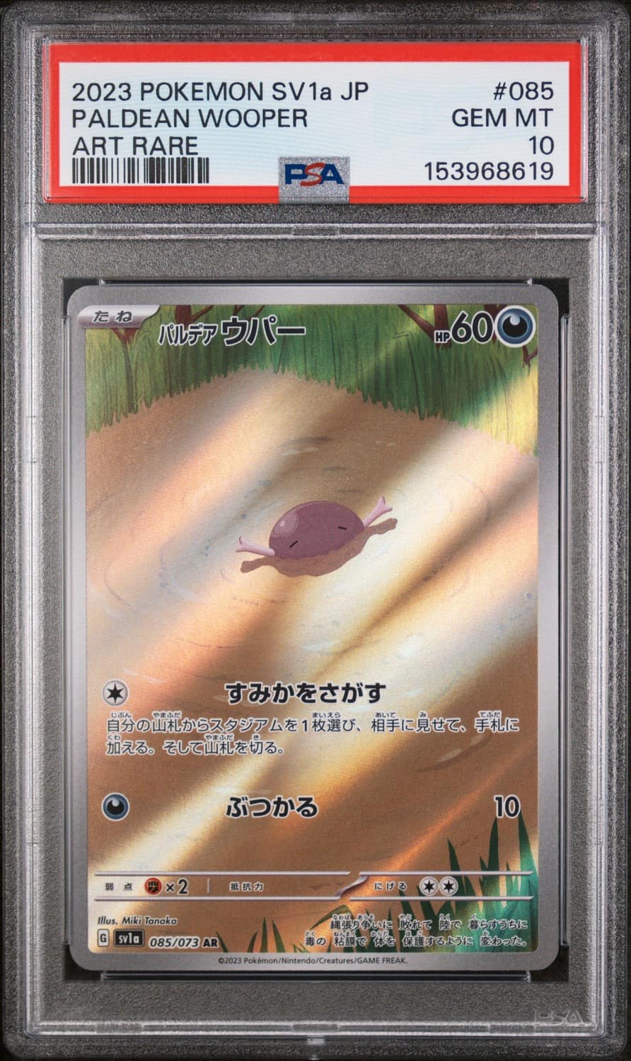 Paldean Wooper